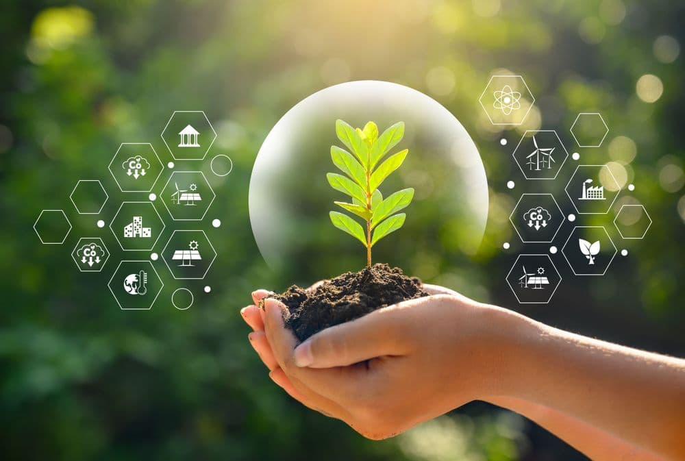 plant identification with AI