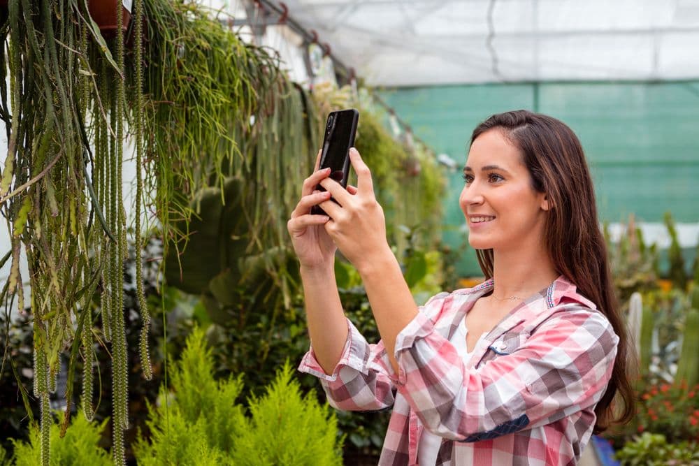 Woman taking pictures plants